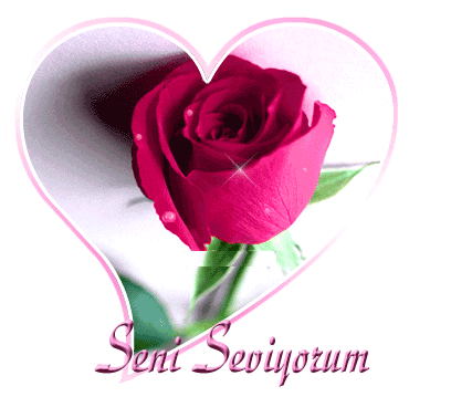 seni seviyorum-c4.gif